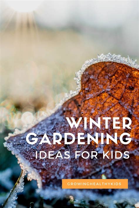 Winter Gardening Activities For Kids Winter Garden Gardening For