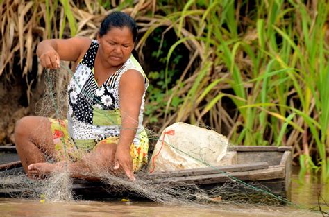 Following The Flooding Cycles In The Amazon Rainforest Fi Flickr