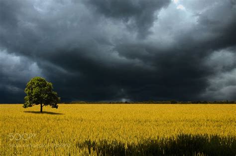 Stormy Weather Stormy Weather Landscape Photography Landscape