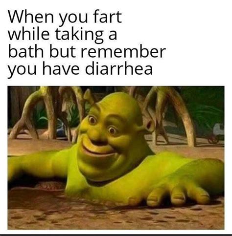 Clean Memes About Shrek