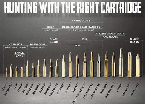 The Right Caliber For Game Chart Aldeercom