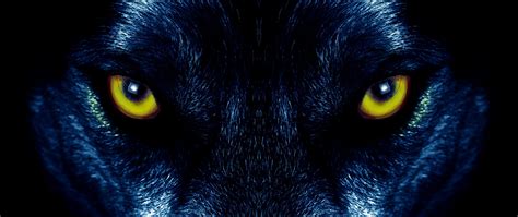 Download Wallpaper 2560x1080 Wolf Eyes Predator Sight Dual Wide