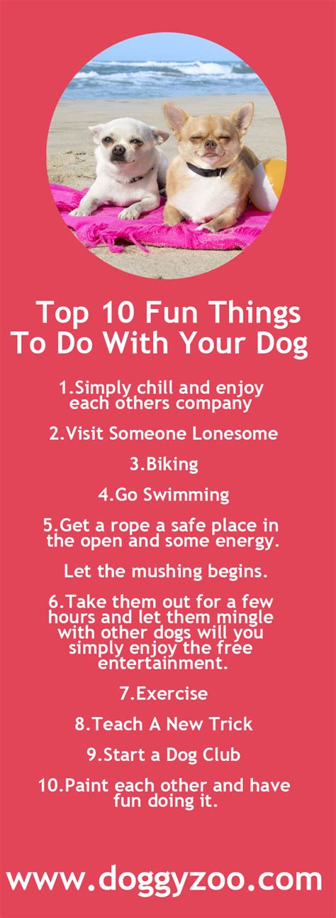 Top 10 Fun Things To Do With Your Dog - DoggyZoo.comDoggyZoo.com