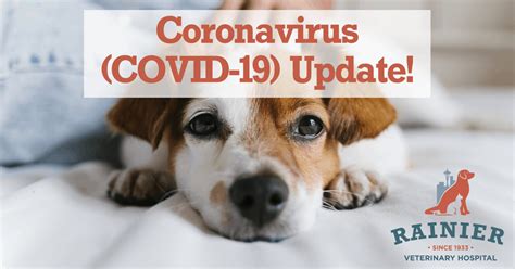 Advice from the chief health officer. Coronavirus (COVID-19) Update - Rainier Veterinary ...