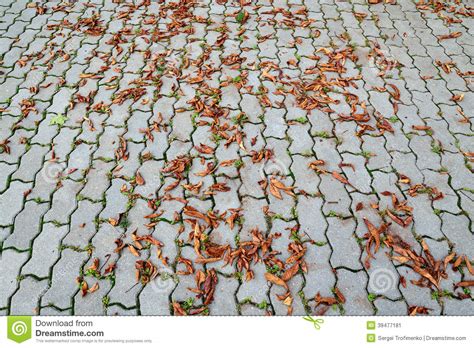 Sad Autumn Stock Image Image Of Melancholy Autumn Leaves 39477181