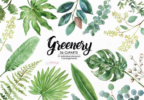 Greenery Watercolor Clipart Illustrations ~ Creative Market