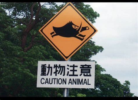 Funny Animal Cross Road Signs Pet Signs Signs Funny Animals