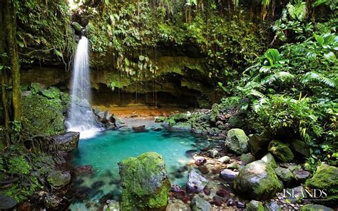 Dominica Island Wallpaper Caribbean Islands Waterfall