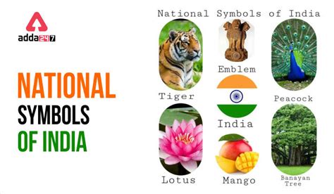 National Symbols Of India List Of National Symbols Of India And Their