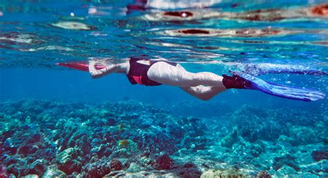 Four Of Oahus Best Snorkel Sites Tropixtraveler