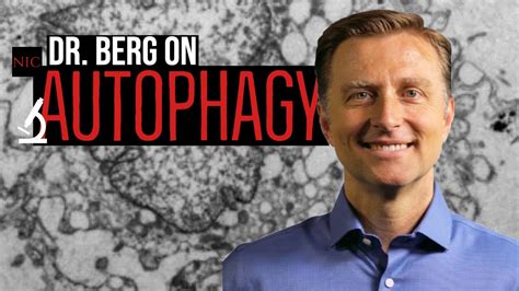 Ex Dr Berg On Autophagy Youtube