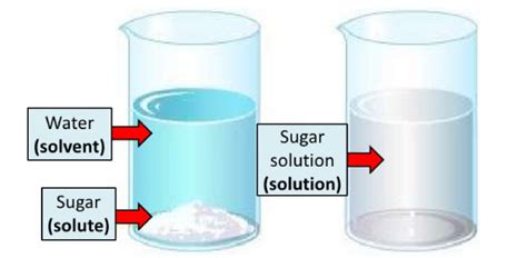 Does Sugar Dissolve In Water Water Ionizer