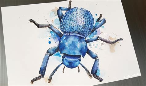 My First Ever Insect Commission I Had So Much Fun Painting This Piece