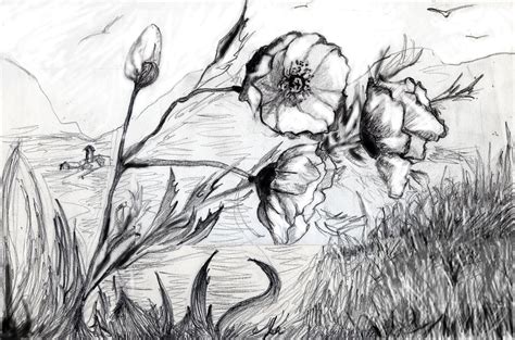 Bianco e nero avevo negli occhi i colori me li hai dati tu il mio cuore dal fondo del mare ora vola nel cielo lassù. primavera in bianco e nero - Disegni & Ritratti