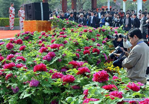 30th Luoyang Peony Festival Starts Off[3] Cn