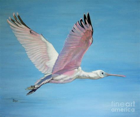 Roseate Spoonbill In Full Flight Painting By Jimmie Bartlett