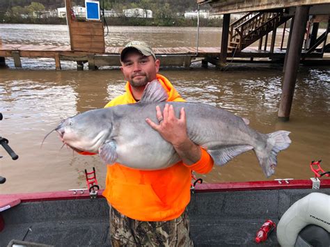 Angler Lands New Record Blue Catfish On Kanawha River Wv Metronews