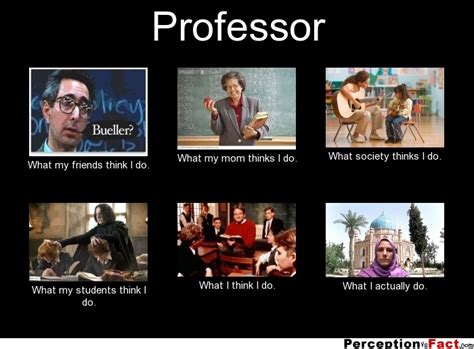 professor what people think i do what i really do perception vs fact