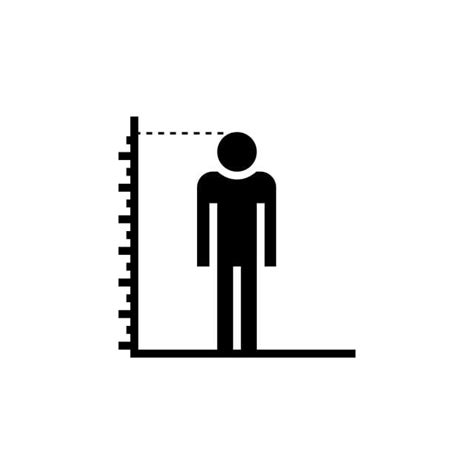Height Measurement Clipart Vector Height Measure Icon Vector Isolated