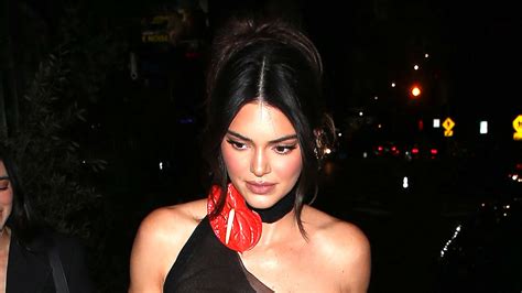 Kendall Jenner Goes Braless In Tight Sheer Black Dress For New Photos