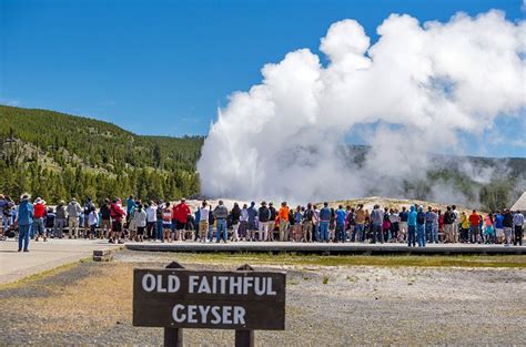 Attractions In Yellowstone National Park Newsfoodz