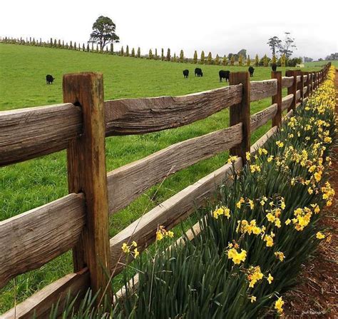 Fence Ideas 111 Backyard Fences Country Fences Rustic Fence