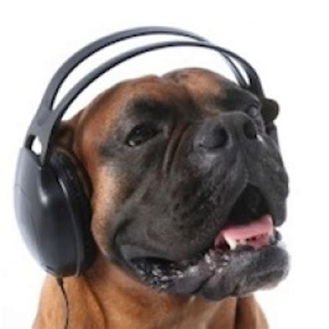 The Six Best Songs About Dogs Music Blog