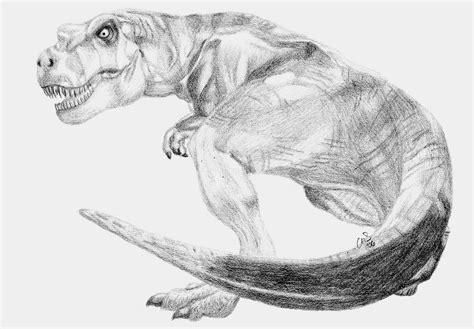 Jurassic Park Drawings T Rex