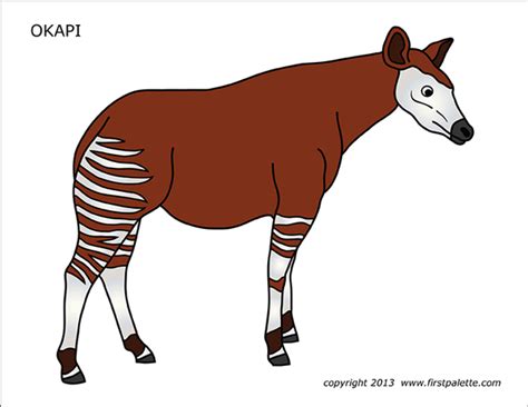 Free printable & coloring pages. Okapi | Free Printable Templates & Coloring Pages ...