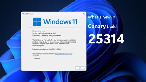 Welcome To Canary Windows 11 Canary Build 25314 And Whats New Youtube