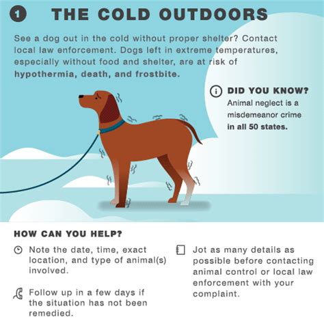 Battling Frigid Temps And Icy Conditions Our Cold Weather Infographic