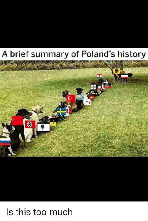 A Brief Summary Of Polands History Too Much Meme On Meme