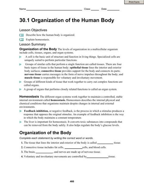 Organization Of The Body Worksheet