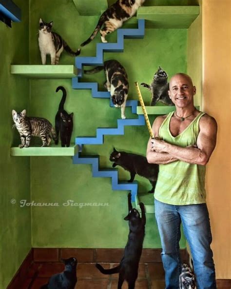 This Man Designed A Purrfect House For His 20 Plus Rescue Cats