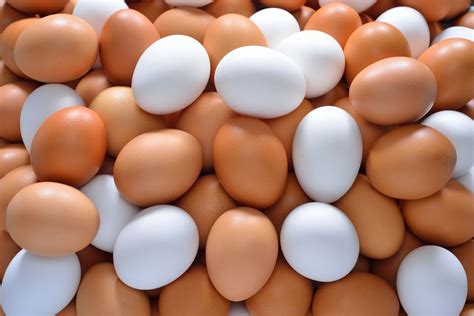 Brown Eggs Vs White Eggs Which Is Better Healthifyme