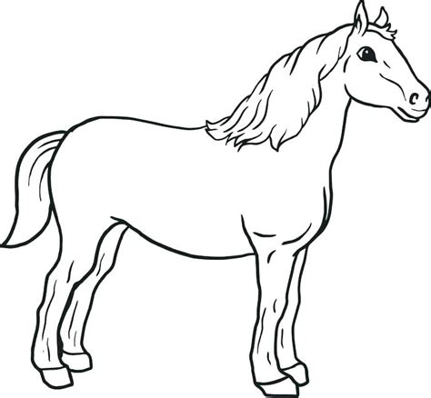 Baby Horse Coloring Pages At Free Printable