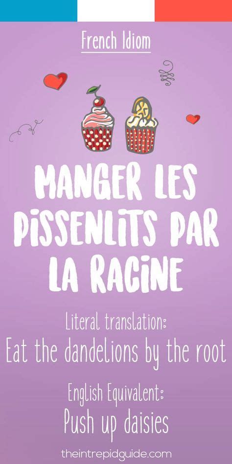 25 Funny French Idioms Translated Literally Learn French Idioms