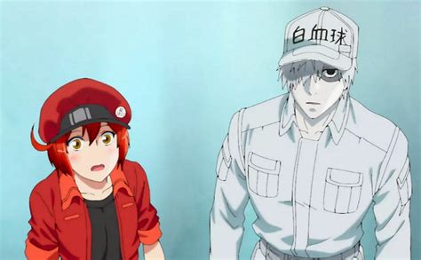 What To Expect For ‘cells At Work Season 2 Studiojake Media