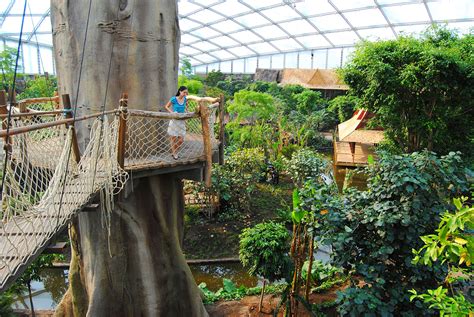 Leipzig zoo is open daily and located just north of the city center. Zoo Leipzig - BEST WESTERN Hotel Leipzig City Center