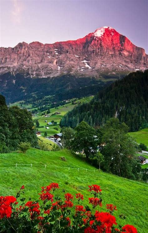Village Of Grindelwald In The Swiss Alps Beautiful Places Wonders
