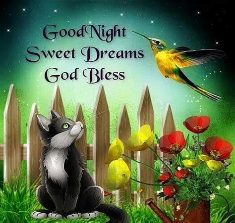 Good Night Sweet Dreams God Bless Pictures Photos And Images For