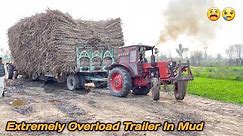Extreme Idiots Tractor In Mud Heavy Loaded Trailer Of Sugarcane