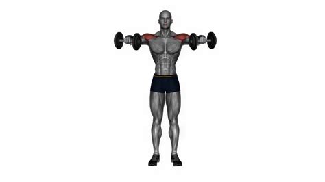 Dumbbell Bent Arm Lateral Raise Fitness Exercise Workout Animation