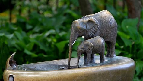 Elephant Fountain Lincoln Park Zoo Chicago Illinois Usa Larry