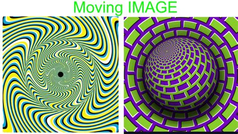 Will Hallucinate While Watching This Optical Illusion Youtube