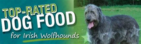 Best Dog Food For The Irish Wolfhound Dog Food Guru