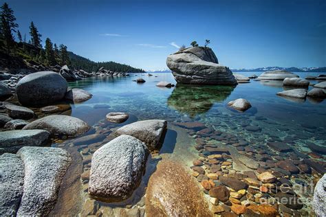 Bonsai Rock In Lake Tahoe Photograph By Dianne Phelps Fine Art America