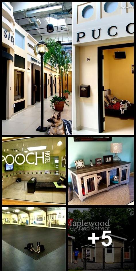 Westlake village (ca) hotels and places to stay. Pin on luxury dog kennel