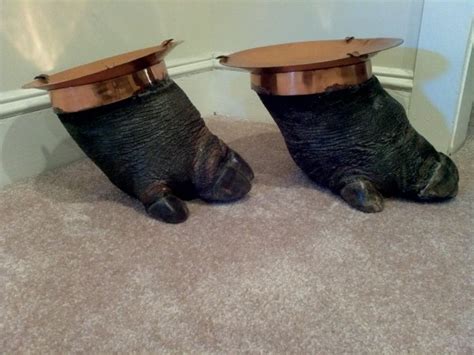 African Hippo Taxidermy Feet Obnoxious Antiques