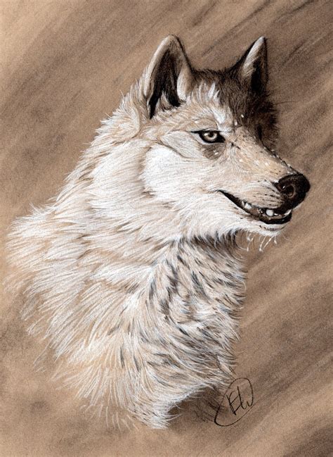 Wolf Charcoal Drawing Etsy
